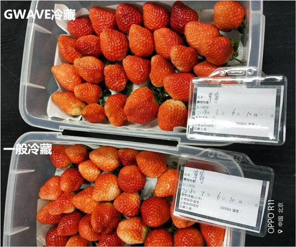 图片2_副本.jpg