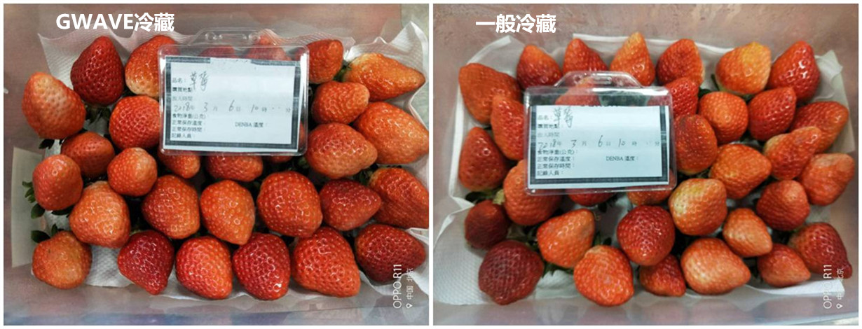 图片4_副本-1.jpg