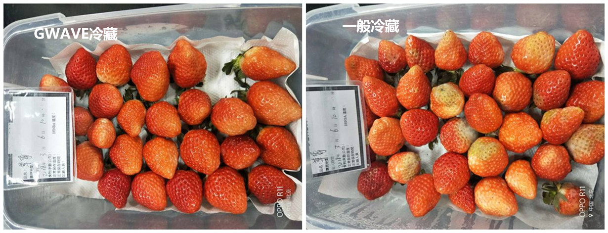 图片6_副本-1.jpg