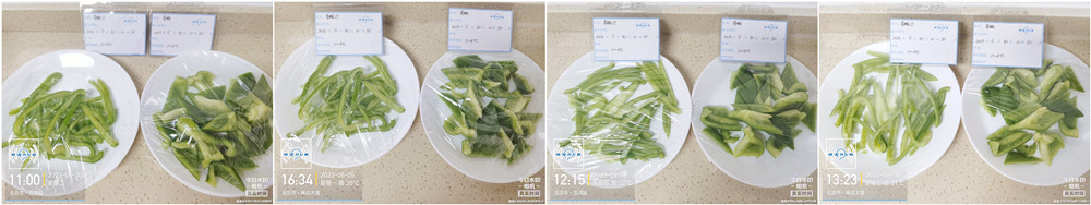 5.30-青椒.jpg