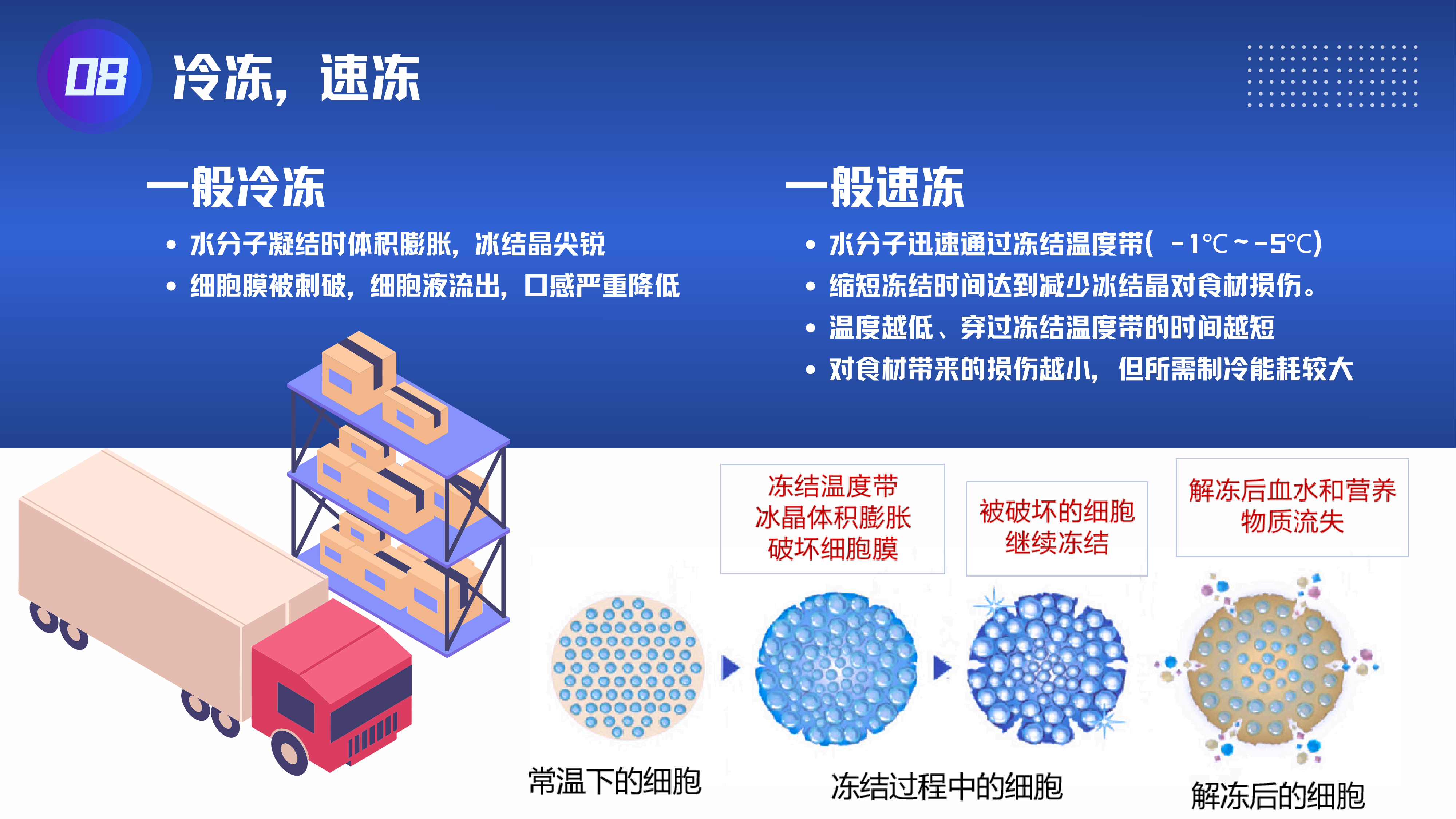微震波核心介紹 2025_10.png