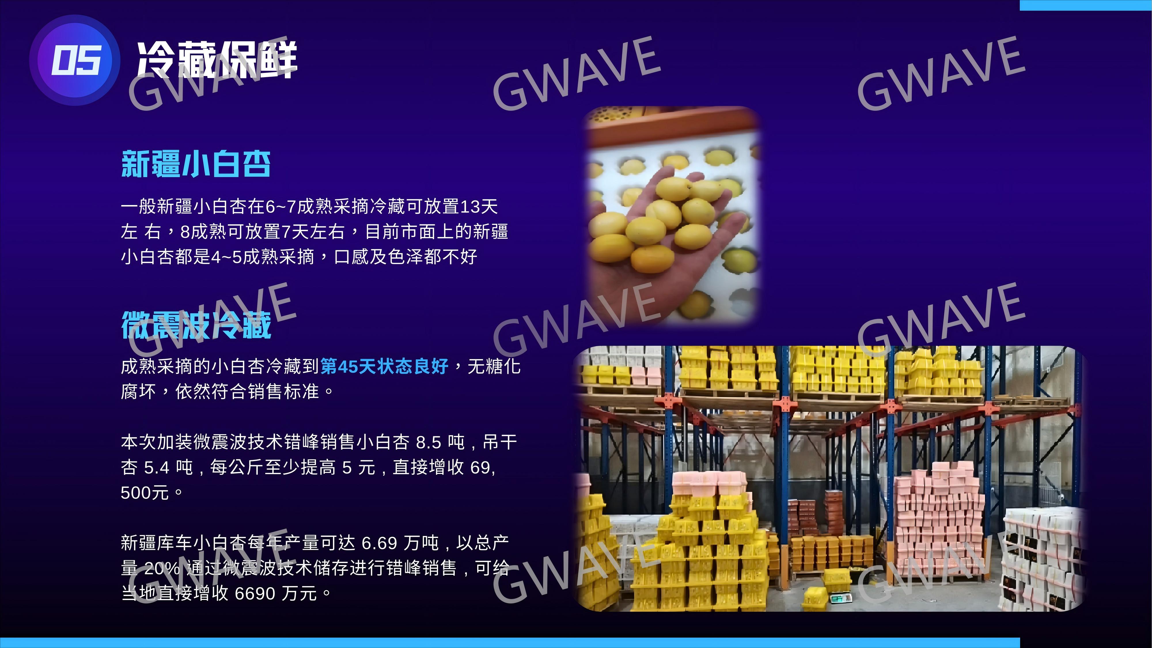 微震波核心介紹 2025_07(1).jpg