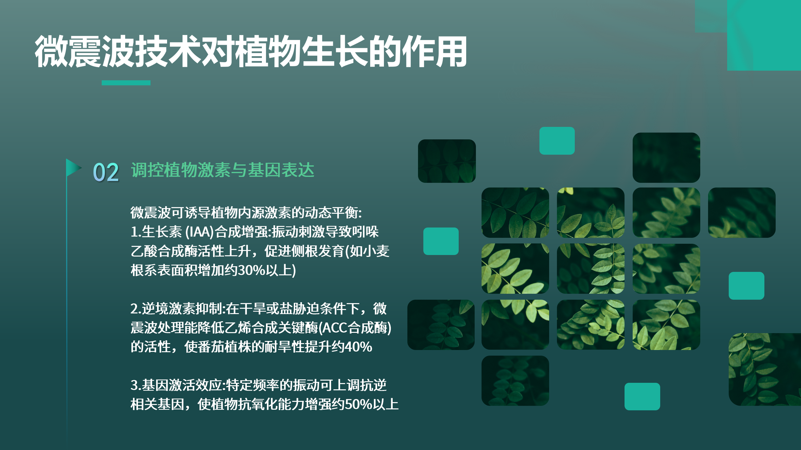 微震波-植物生长_05.png